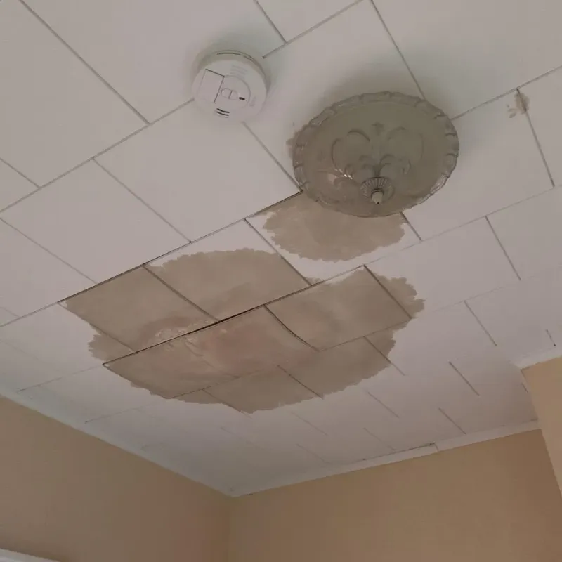 Ceiling Water Damage Repair in Hughestown, PA