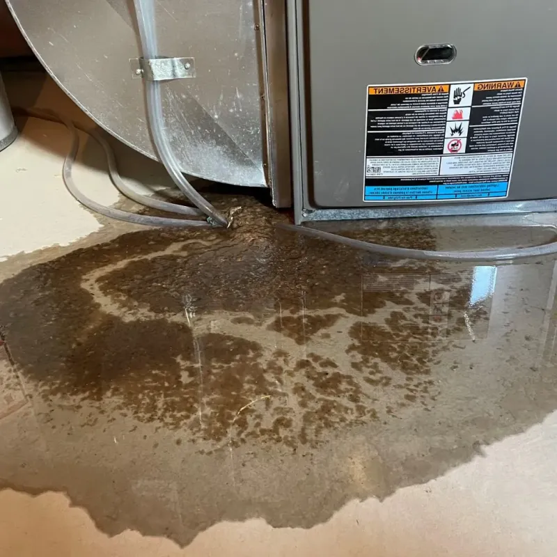 Pipe Burst and Leak Restoration in Hughestown, PA
