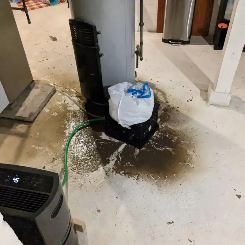 Sewage Backup Cleanup Service in Hughestown, PA